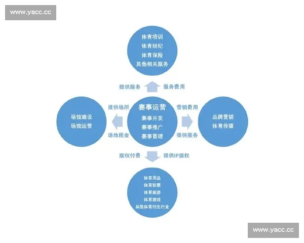 全面解析体育数据统计平台的功能与应用助力赛事分析与预测