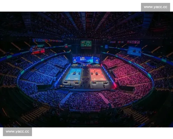 打造多元化体育体验的综合平台，推动全民健身与竞技体育融合发展